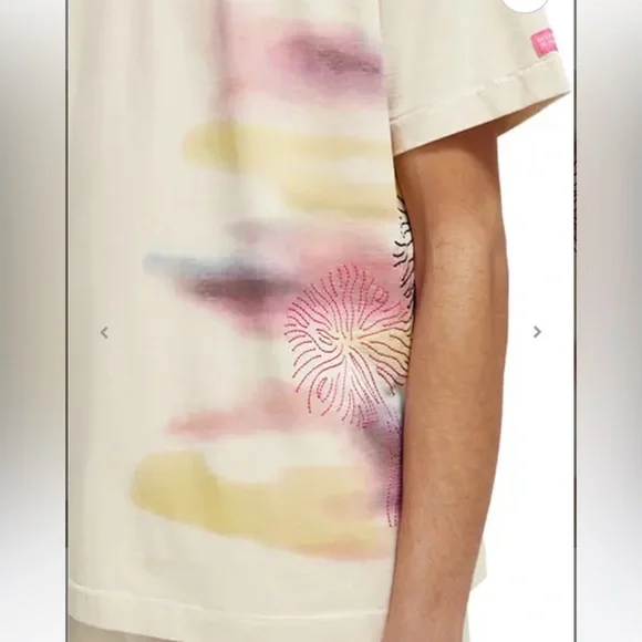 Scotch & Soda Blurred Landscape Artwork T-Shirt - Picture 4 of 11